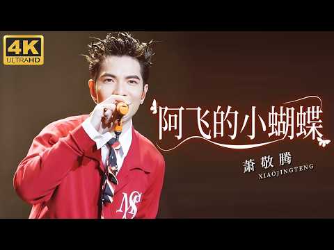 摇滚情歌天花板！萧敬腾《阿飞的小蝴蝶》声声入魂好听至极，欢乐悠扬的旋律直抵人心！#跨年回顾 clip