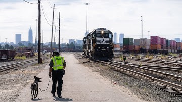 Rail Safety Tips from NSPD K9 Thorr