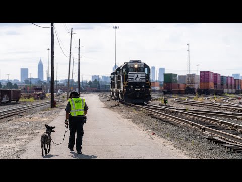 Rail Safety Tips from NSPD K9 Thorr