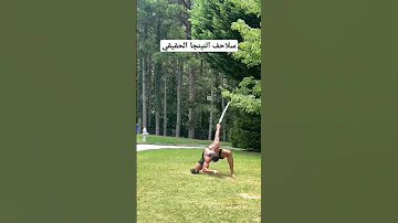 اخيرا لقيت سلاحف النينجا الحقيقين 