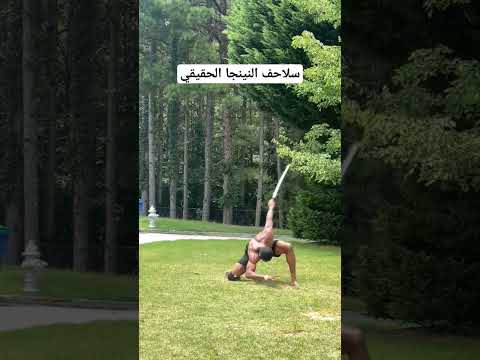 اخيرا لقيت سلاحف النينجا الحقيقين