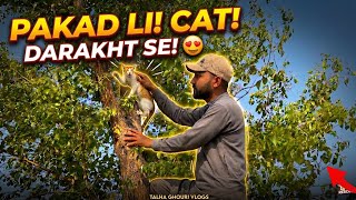 Dogs Ne Mil Kar Kiya Attack! 😭 Darakht Par Phansi Cat Ko Kaise Bachaya?