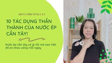 10 TÁC DỤNG THẦN THÁNH CỦA NƯỚC ÉP CẦN TÂY/ ĐOÀN PHƯƠNG LAN