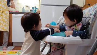 15개월 쌍둥이 아기의 우애