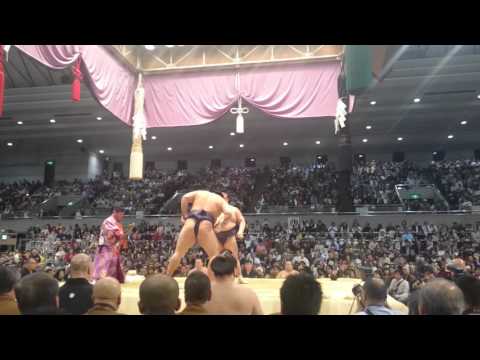 平成28年春場所❗無敗の稀勢の里