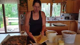 Collecting Pine Pollen - Part 2
