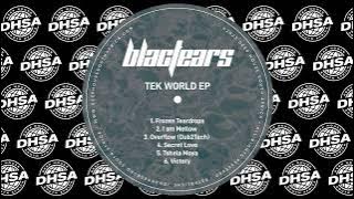 Download lagu Blac Tears - Frozen Teardrops (Original Mix) [DHSAR012]