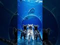 ミニチュア猫🐈わくわく水族館🐟🐾Miniature Cat 🐈 Exciting Aquarium #cat #cute #aicat #ai猫