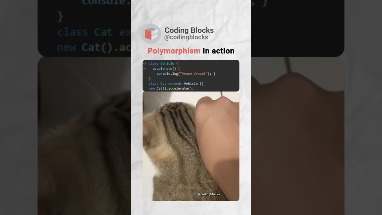Just Coding Things | Who else can relate | CodingBlocks #meme #coder #programmer #relatable