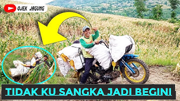 OJEK JAGUNG BIRINGBULU paling!!  ekstrem tidak ku sangka bigini jadinya