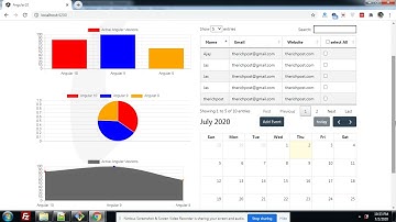 Angular 8/9/10 Datatable Fullcalendar Chartjs Working Example