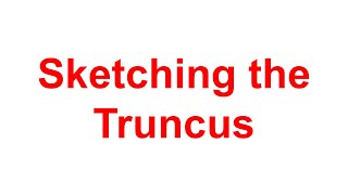 Detailed Math Methods Sketching the Truncus Information