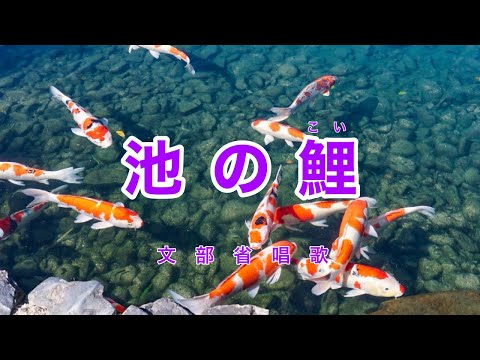 Traditional Japanese Songs｜Ike no Koi “Carps in the Pond” - YouTube