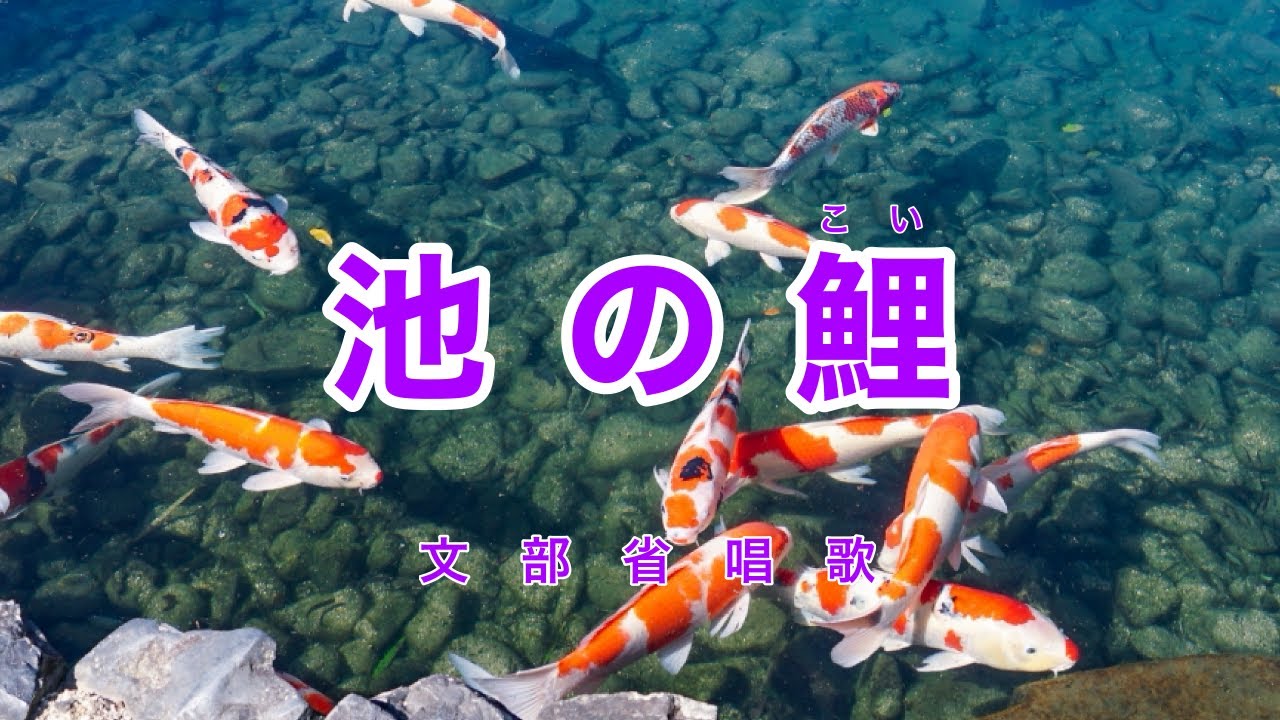 Traditional Japanese Songs｜Ike no Koi “Carps in the Pond” - YouTube