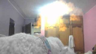 Capture 20120128