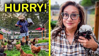 Do These Chicken Chores NOW Before the Weather Changes!