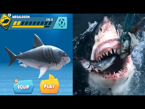 Hungry Shark Evolution in Real Life Part 2