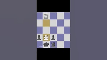 Chess 311--- Subscribe --- Every day more chess video