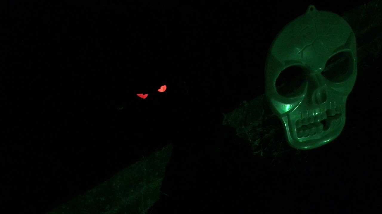 Halloween 2019 oxted