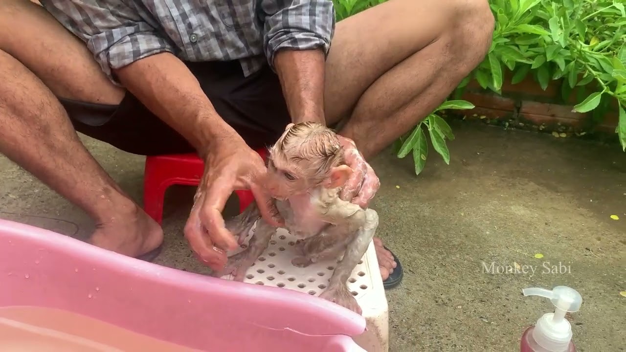 Dad took a bath for cute Esha in the afternoon.