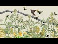 Live Bird Friendly: Avoid Pesticides for a Bird-friendly Home