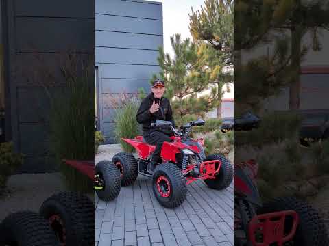 Sport Energy FZ 1500 Base