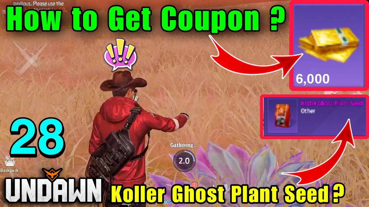 Undawn | How to get Coupon | Beginners Guide | Tips & Tricks 