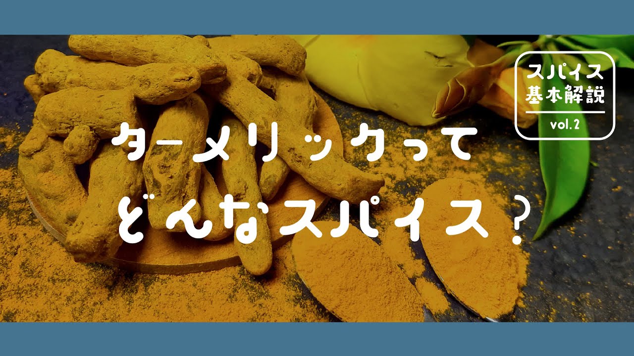 ターメリックってどんなスパイス？ 【ビギナーのためのスパイス基本解説 vol.2】