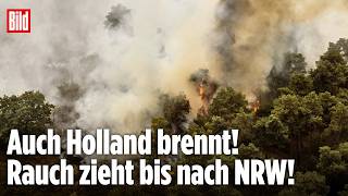 Niederlande in Flammen: Waldbrand breitet sich immer weiter aus! Feuerwehr arbeitet auf Hochtouren!
