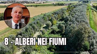 Alberi nei fiumi: da 500 a 800 m³/s | Lo studio sul Secchia del Prof. Orlandini