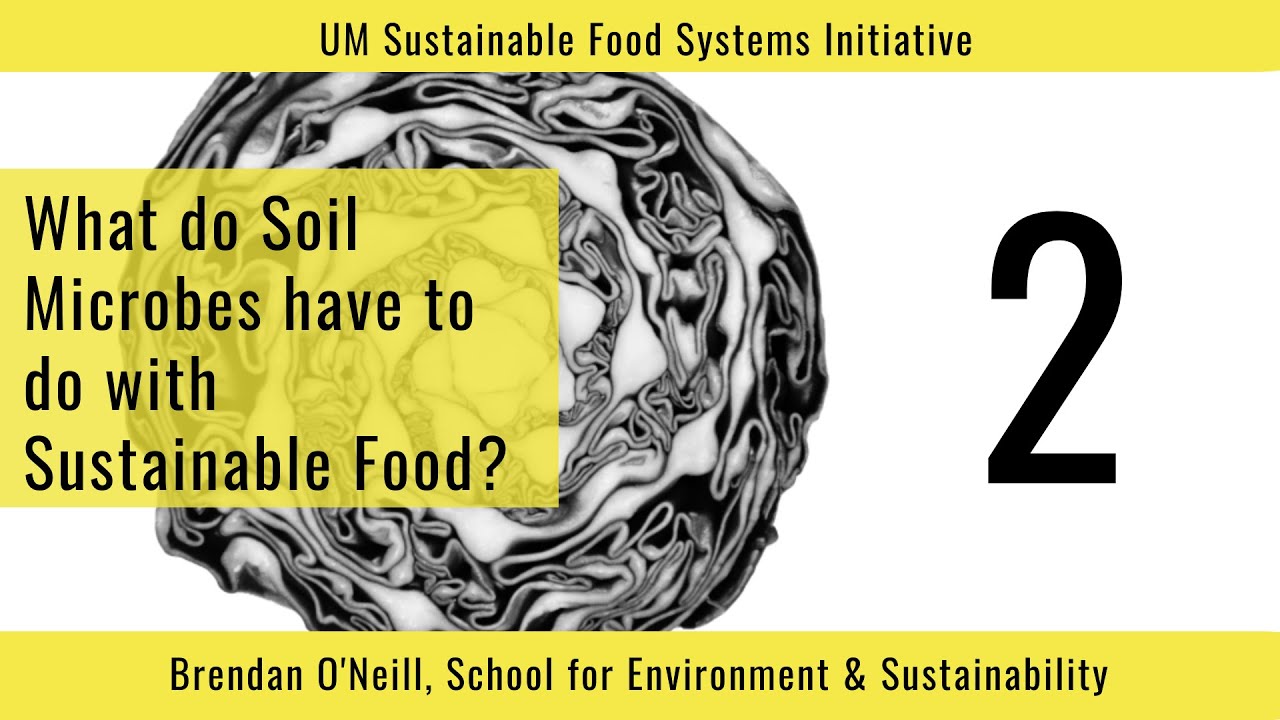 "What do Soil Microbes have to do with Sustainable Food?" Tiny Talk by Brendan O'Neil
