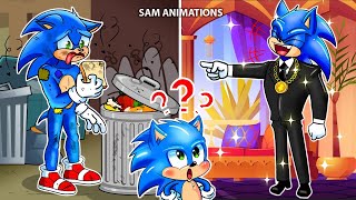 Sonic Rich or Poor - Sonic Baby Will Choose Rich or Poor? | Sonic the Hedgehog 2 - Sonic Animation