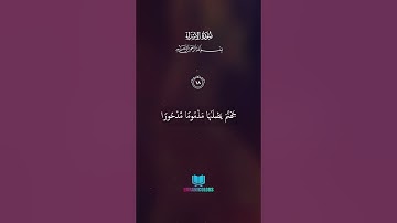 Surah Al Isra  - سورة الإسراء  #viral #explore #quran #islam #qurankareem #beautiful