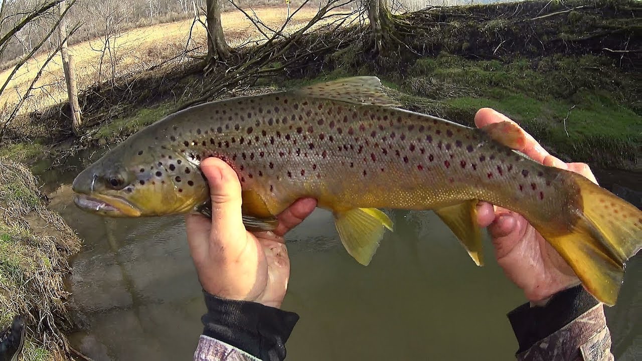 Wisconsin Trout Fishing 4/7/2019 YouTube