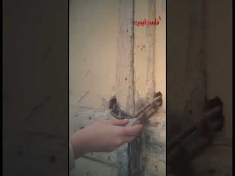 خبز الوطن خير من كعك الغ ربة ديمة كام Deema Cam في خدني ع بلدي تلفزيون فلسطيني