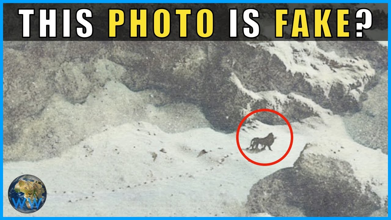 Iconic Animal Photos That Might Be Hoaxes