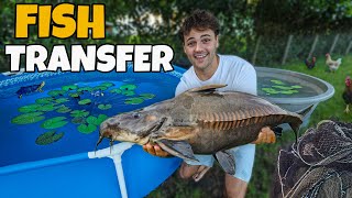 Moving MONSTER FISH to Start NEW Enclosure!!