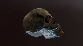 Skull Particles