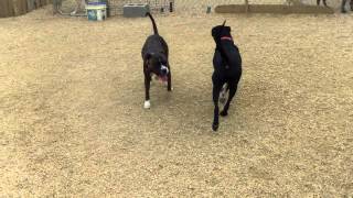 Freya, Libby, Jameson, Dyrt, Baruch, Roxy, Parker, Newton, Rex, Abby, Cedric, Chloe, Payton