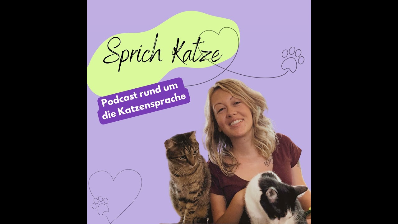 GRATIS Verhaltensanalyse für Katzen(eltern)