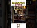 柴犬が店番すると起きること