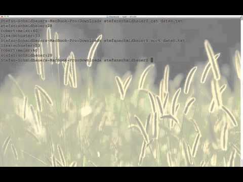 Linux Kommandos Teil 4 - Grep und Sort
