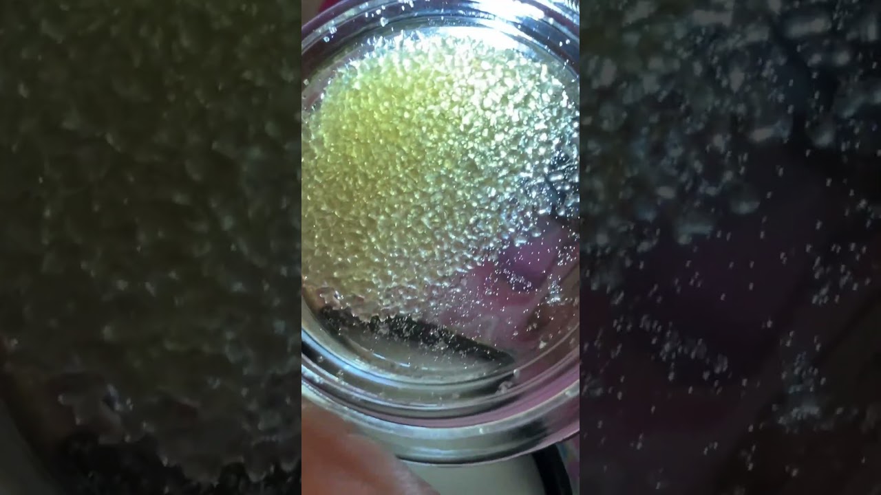 West coast Alchemy Zwamp walker full melt 90u 