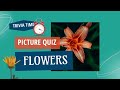Petals and Puzzles: Test Your Flower Knowledge!| Guess the Flowers in These Videos 🌼