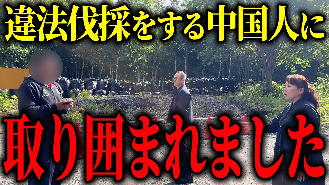中国人による違法伐採を撮影した結果…とんでもない事態になりました【山本貴子】