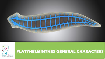 PLATYHELMINTHES GENERAL CHARACTERS