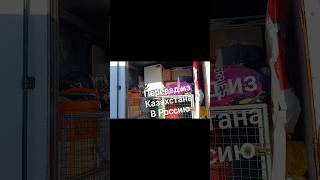 Переезд из Казахстана в Россию с животными #переезд#переездсживотными