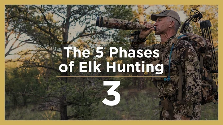 PEAK RUT | The 5 Phases of Elk Hunting