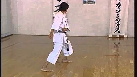 Meikyo - Efthimios Karamitsos - Karate Shotokan Kata