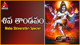 Lord Shiva The Best Songs | SivaTandavam Telugu Devotional Songs Jukebox | Amulya Audios And Videos